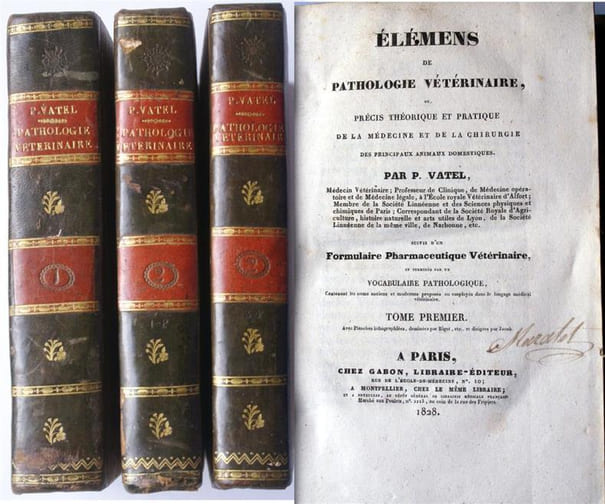 Elémens (éléments) de pathologie vétérinaire ou précis théorique et pratique de la médecine et de la chirurgie des principaux animaux domestiques. Deux tomes en trois volumes.