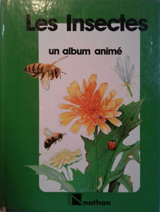 Les insectes.