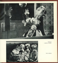 Jiri Trnka.