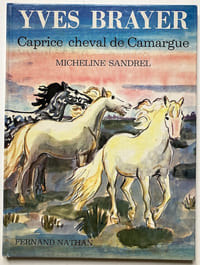 Caprice cheval de Camargue.