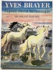 Caprice cheval de Camargue.. BRAYER (Yves). SANDREL (Micheline).