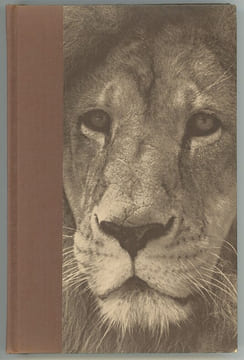 The Lion in Fact and in Fiction.. PINTO (Ralph). CHERR (Pat).