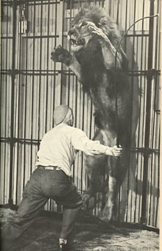 The Lion in Fact and in Fiction.. PINTO (Ralph). CHERR (Pat).