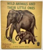Wild Animals and Their Little Ones.. ROJANKOVSKY (F&eacute;dor). CELLI (Rose).