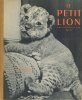 Le Petit Lion.. [Photo]. YLLA. Pseudonyme de Camilla Koffler. PREVERT (Jacques). 