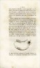 Nouveau traité théorique et pratique de l'art du dentiste. LEFOULON (Pierre Joachim)