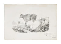 [Épreuve lithographique]