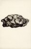 R&ecirc;ves d'encre. CORTI (Jos&eacute;, ill.) / ELUARD (Paul) / CHAR (Ren&eacute;) / GRACQ (Julien) / BACHELARD (Gaston)