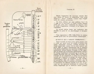 Les aimants guérisseurs