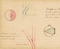 [Movimento & segnalazione]. NEGRELLI