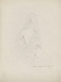 La Belle Carolina. Dix-sept eaux-fortes originales en couleurs par Édouard Chimot.