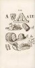 Chansonnier complet et universel, contenant des Chansons pour naissances bapt&ecirc;mes, mariages, noces, r&eacute;unions de famille, f&ecirc;tes, et assembl&eacute;es d'amis ; ...
