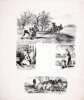 [Album de sujets rustiques grav&eacute;s pour l'Illustration d'apr&egrave;s les tableaux et les dessins de Ch. Jacque] OU [Les mois]. JACQUE (Charles, d'Apr&egrave;s) ; ...