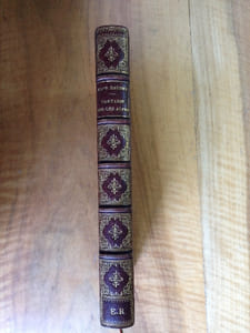 TARTARIN SUR LES ALPES. ( 1885 . EDITION ORIGINALE )