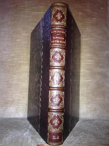 TARTARIN SUR LES ALPES. ( 1885 . EDITION ORIGINALE )