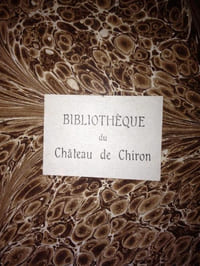 L' Ingénieux Hidalgo Don Quichotte de la Manche, traduit et annoté par Louis Viardot.