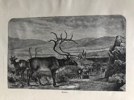 UN HIVER EN LAPONIE. Voyages d'hiver en Suède, en Norvège, en Laponie et dans la Finlande septentrionale.. CHAILLU ( Paul de )