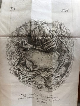 VOYAGE DANS LES ALPES précédés d'un ESSAI SUR L' HISTOIRE NATURELLE des Environs de GENEVE. 1787 - 1786 - 1796.. SAUSSURE ( De ) Horace - ...