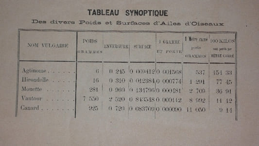 NAVIGATION  AERIENNE  .  DIRECTION  DES  BALLONS  . Notes sur le ballon et l ' appareil de direction et d ' aviation inventé et construit par J-C Pompeien- Piraud, ingénieur - aéronaute . 