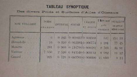 NAVIGATION  AERIENNE  .  DIRECTION  DES  BALLONS  . Notes sur le ballon et l ' appareil de direction et d ' aviation inventé et construit par J-C ...