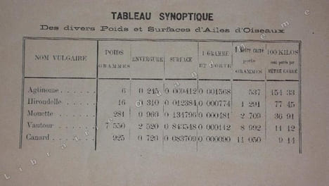 NAVIGATION  AERIENNE  .  DIRECTION  DES  BALLONS  . Notes sur le ballon et l ' appareil de direction et d ' aviation inventé et construit par J-C ...
