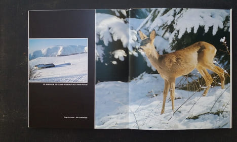 Les Vosges - Montagne vivante
. WODEY Alain