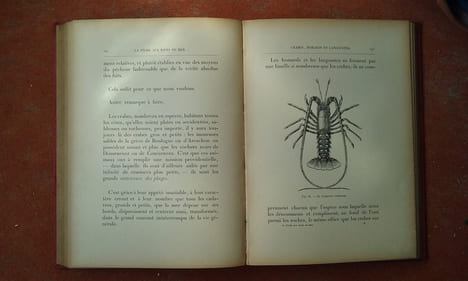 La Pêche aux Bains de mer
. BLANCHERE Henri de la
