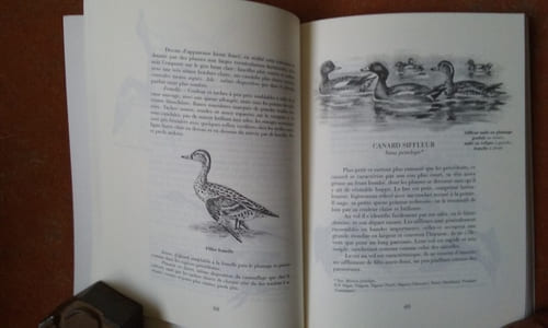 Le monde merveilleux des bêtes - Livre quatrième. Canards sauvages et autres Palmipèdes - Tome 1 : Les Lamellirostres
