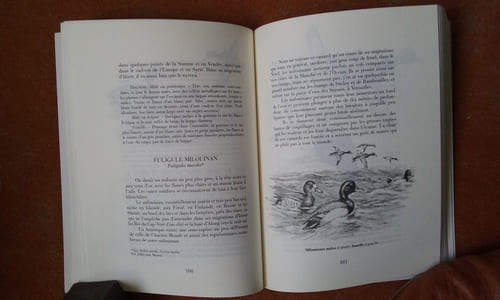 Le monde merveilleux des bêtes - Livre quatrième. Canards sauvages et autres Palmipèdes - Tome 1 : Les Lamellirostres