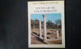 Scènes de vie gallo-romaine évoquées par les vestiges de Saint-Romain-en-Gal (Rhône)
. DURAND Johan et Thierry

