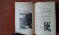 Montreuil-sur-Mer à travers les âges. Histoire locale - Guide