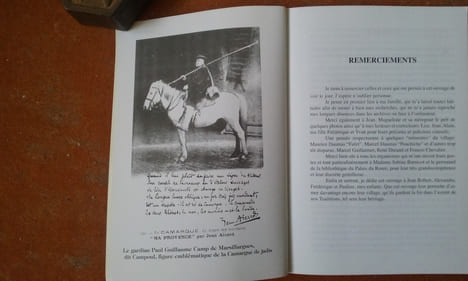 Chroniques Taurines Marsillarguoises de 1712 à 1954
. DANIELE Noël