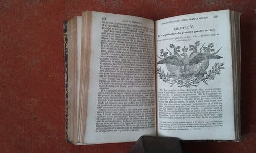 Nouveau manuel complet de Galvanoplastie ou éléments d'électro-métallurgie contenant l'art de réduire les métaux à l'aide du fluide galvanique pour dorer, argenter, platiner, cuivrer, etc, - Tome 1er