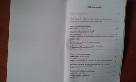 Etre indien dans les Amériques - Spoliations et résistance. Mobilisations ethniques et politiques du multiculturalisme
. GROS Christian - STRIGLER ...