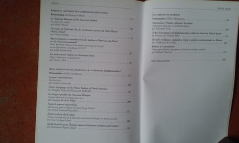 Etre indien dans les Amériques - Spoliations et résistance. Mobilisations ethniques et politiques du multiculturalisme
. GROS Christian - STRIGLER ...
