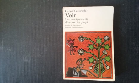 Voir. Les enseignements d'un sorcier yaqui
. CASTANEDA Carlos