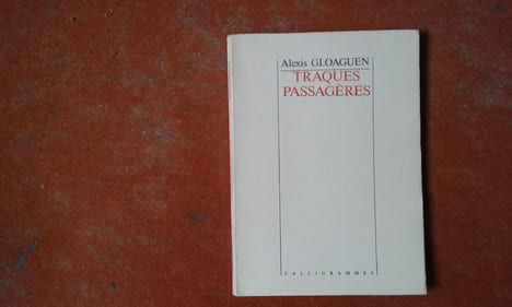 Traques passagères
. GLOAGUEN Alexis