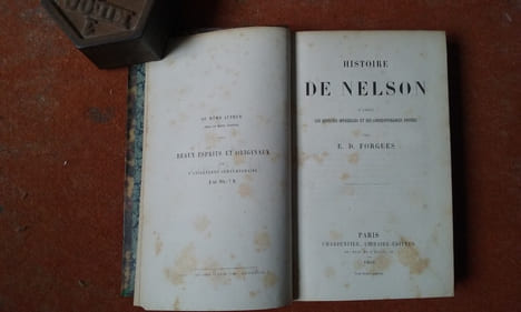 Histoire de Nelson d'après les dépêches officielles et ses correspondances privées
. FORGUES Emile Daurand
