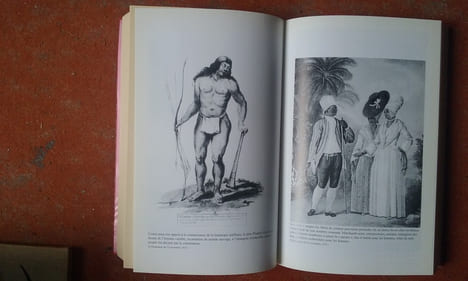 Histoire des Antilles françaises, XVIIe-XXe siècle
. BUTEL Paul