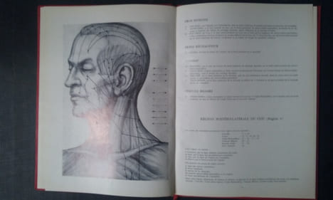 Atlas d'acupuncture topographique en vingt-trois régions
. DUFOUR Roger (Dr)