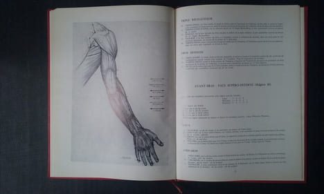 Atlas d'acupuncture topographique en vingt-trois régions
. DUFOUR Roger (Dr)