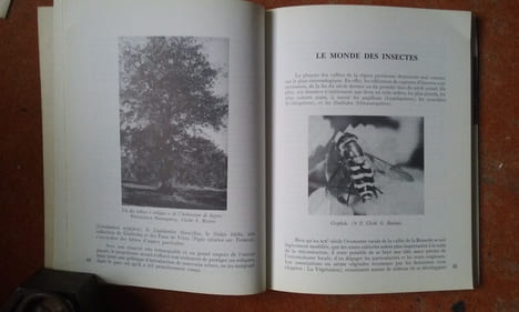 La Vallée de la Renarde
. RIVIERE Simonne