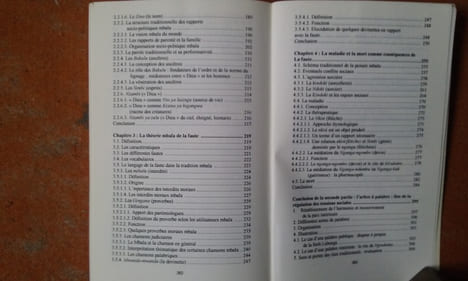 La catégorie de la faute chez les Mbala (Bantous) - Paul Ricoeur en question
. MATANGILA Léon