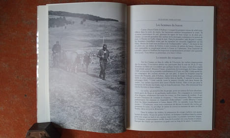 Douze Métiers - Treize Coutumes. Bergers transhumants du
Causse Noir, buronniers de l'Aubrac, vignerons du Rouergue,
fabricants de quille, ...