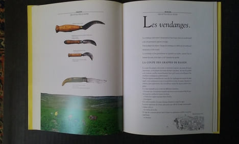 Anciens outils de la vigne et de la tonnellerie
. HERMAN Robert