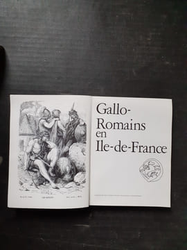 Gallo-romains en Ile-de-France
. RUIZ Jean-Claude (sous la direction de)