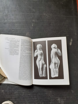 Figurines gallo-romaines en terre cuite
. CAMUZET-LE PORZOU Françoise