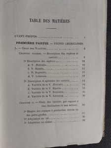 Manuel Pratique de Viticulture pour la Reconstitution des Vignobles Méridionaux. Vignes américaines. Submersion. Plantation dans les sables