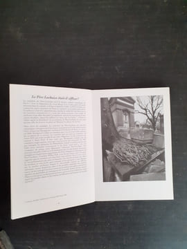 Le Père-Lachaise - Petit Guide de la Mort Suave
. WILL Nicolas