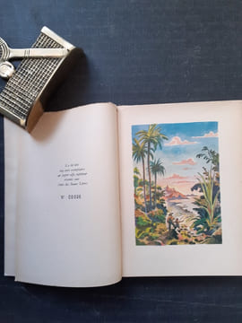 Le Robinson Suisse
. WYSS Rodolphe